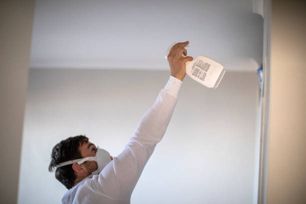 Best Home Mold Removal  in New Castle, IN