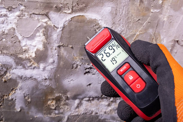 Professional Mold Removal in New Castle, IN