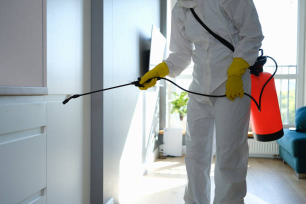 Best Same-Day Mold Removal  in New Castle, IN