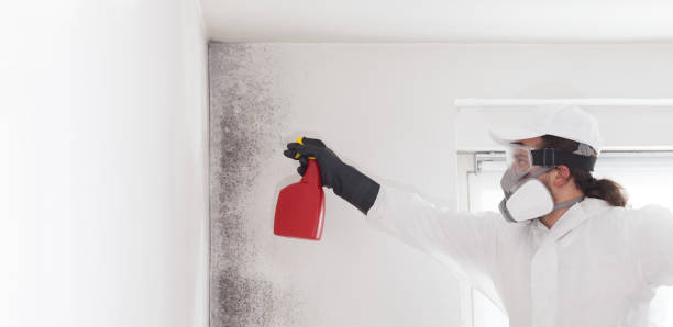 Crawl Space Mold Removal in New Castle, IN